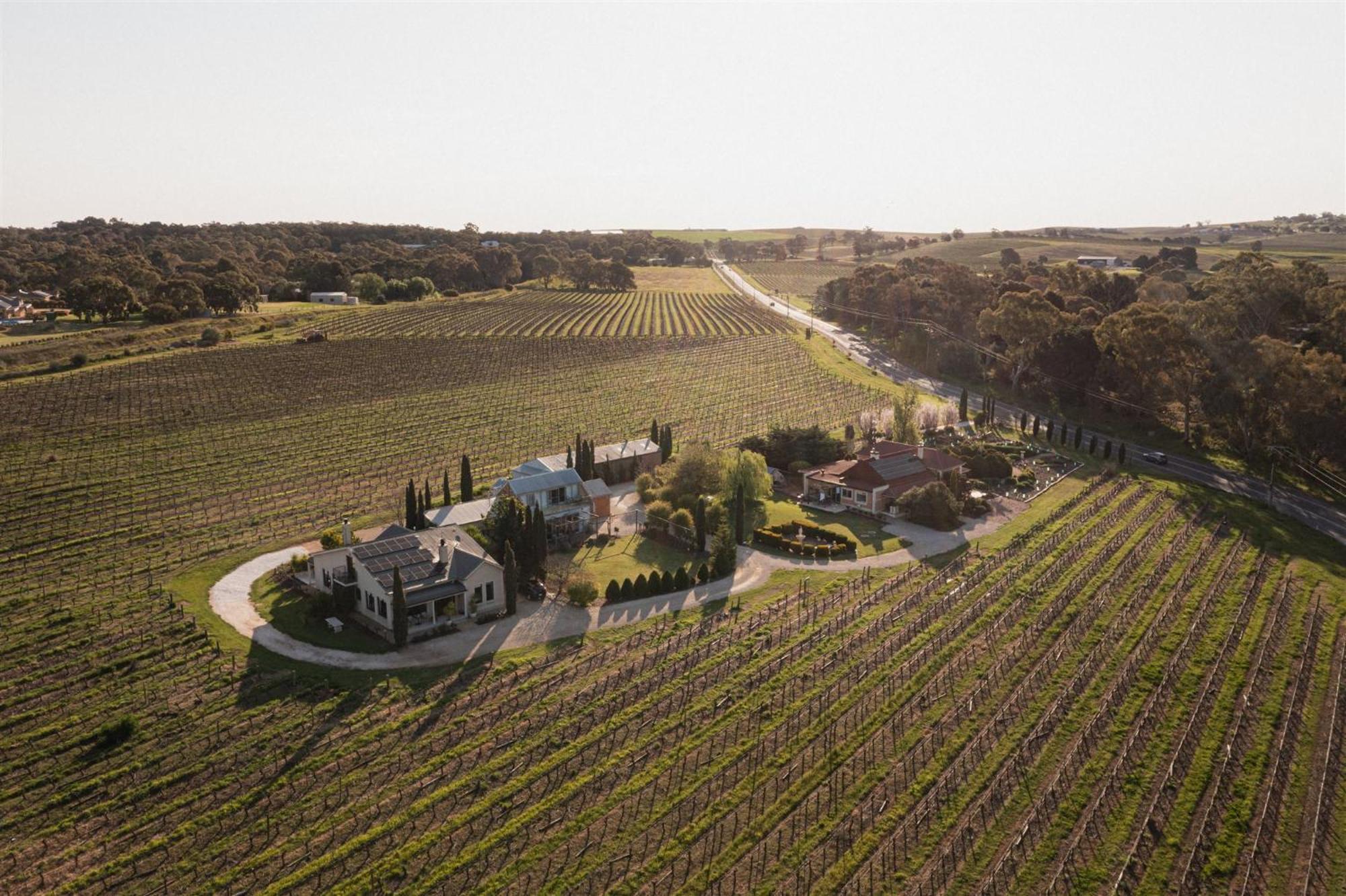 Barossa Shiraz Estate Villa Lyndoch Kültér fotó