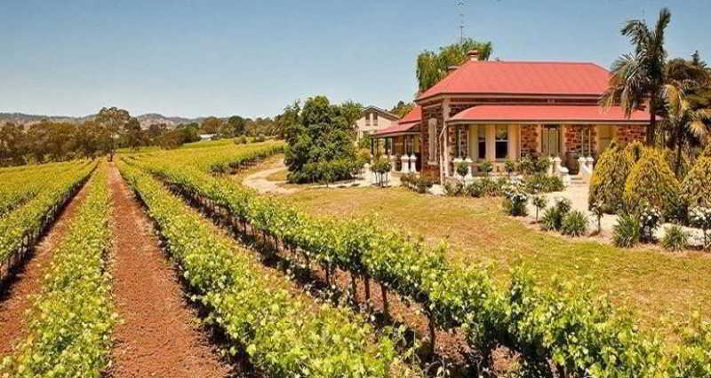 Barossa Shiraz Estate Villa Lyndoch Kültér fotó