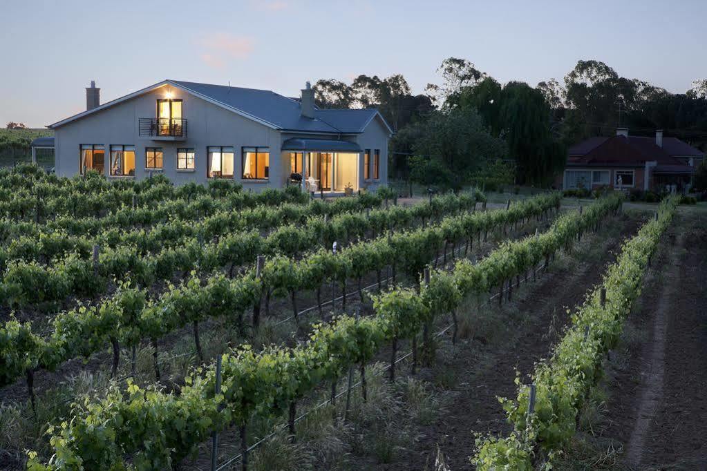 Barossa Shiraz Estate Villa Lyndoch Kültér fotó