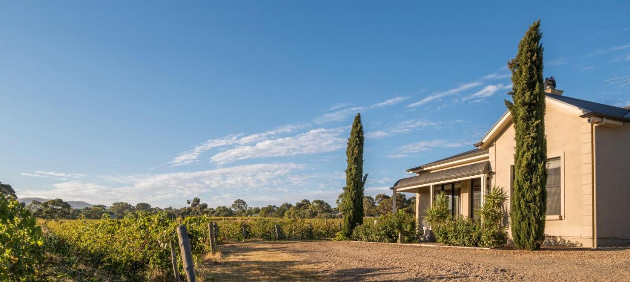 Barossa Shiraz Estate Villa Lyndoch Kültér fotó